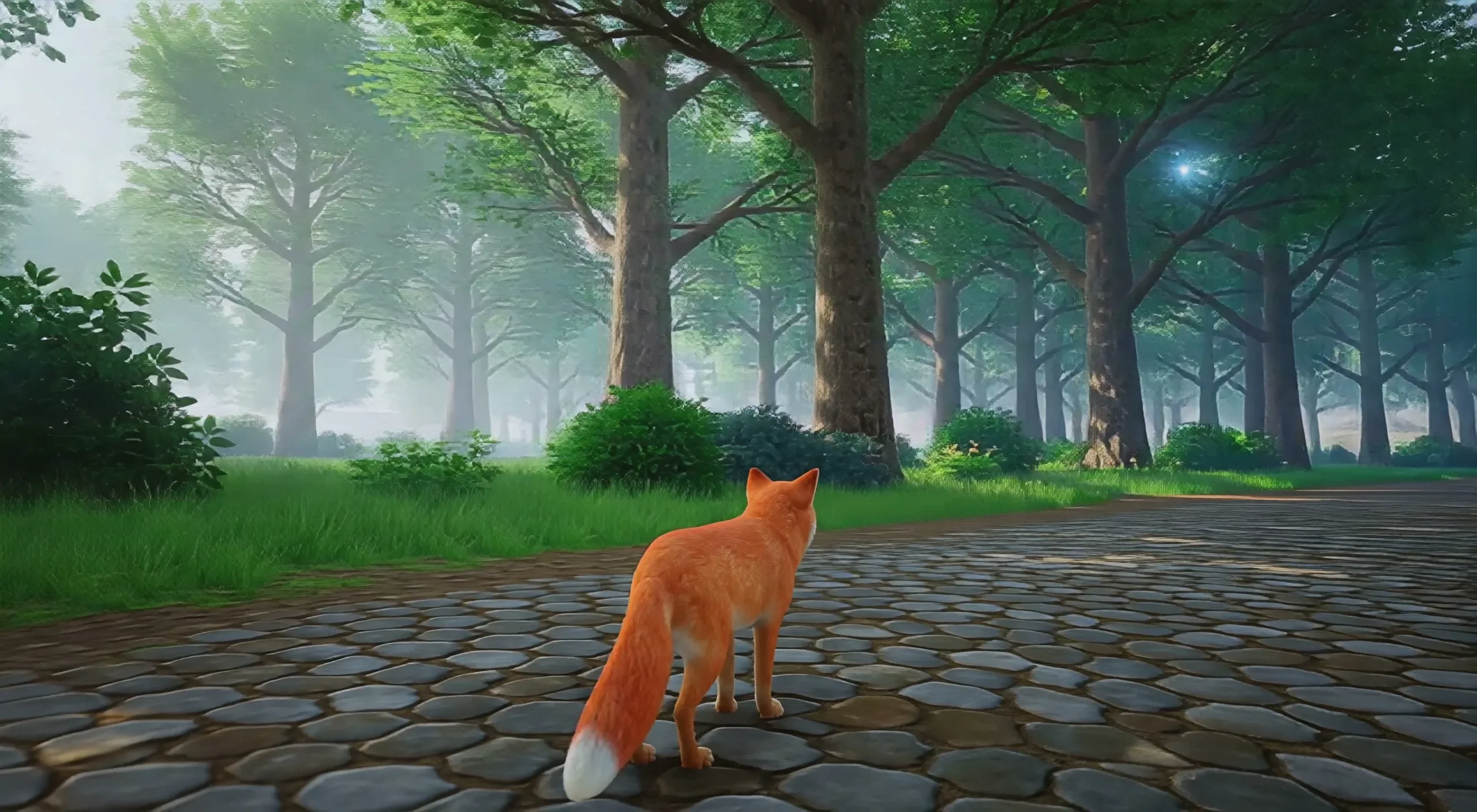 Frame from Hy-Nomas, Tencent's open world model, run locally: a red fox standing on a cobblestone path in a misty green forest, glowing fireflies among the trees